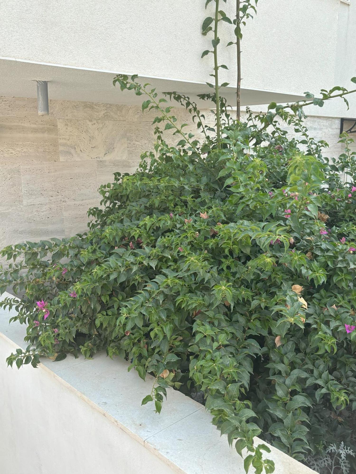 Vila Regina Apartment Paloma With Swimming Pool Jezera Luaran gambar